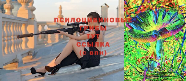 гидропоника Бородино