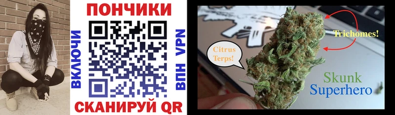 дарк нет состав  Тотьма  Каннабис THC 21% 